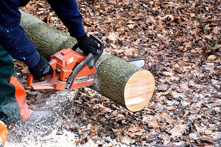 lumberjack, chainsaw, woodworks, tree trunks, lumber, industry, motion