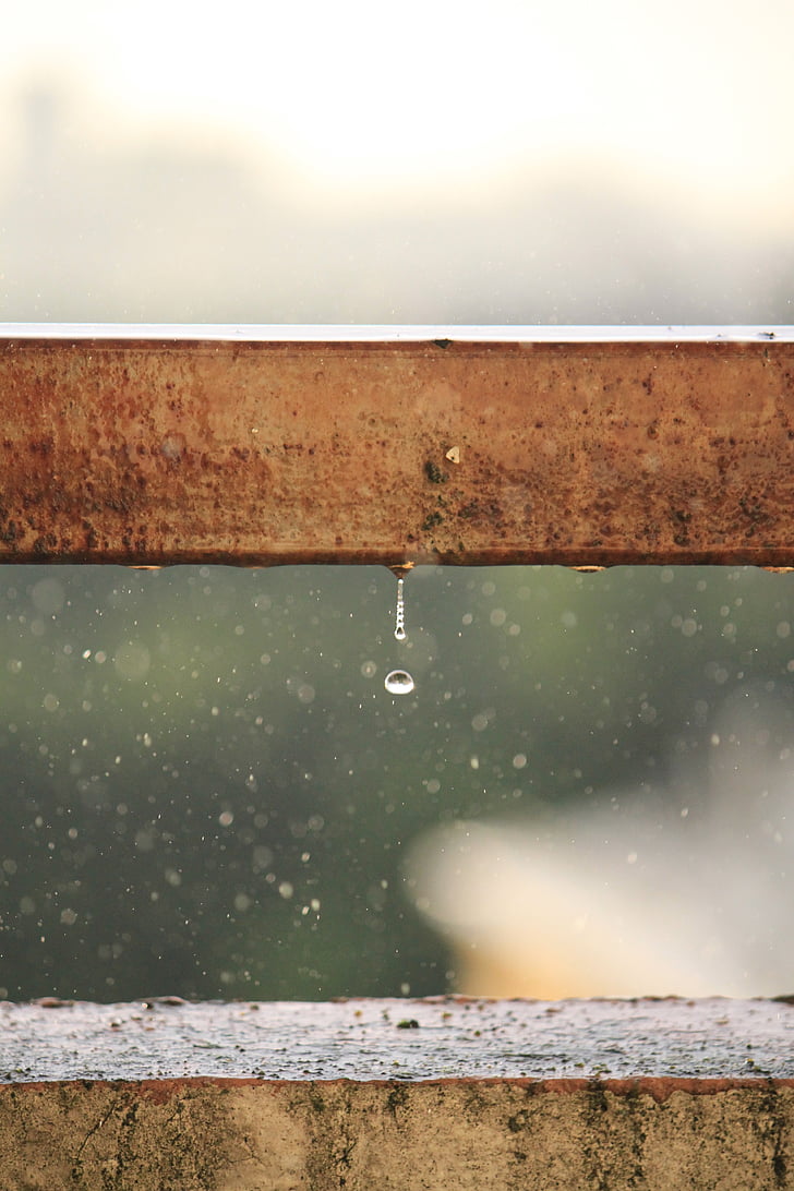rain, drop, bossage, raindrops, weather, wood - Material, nature