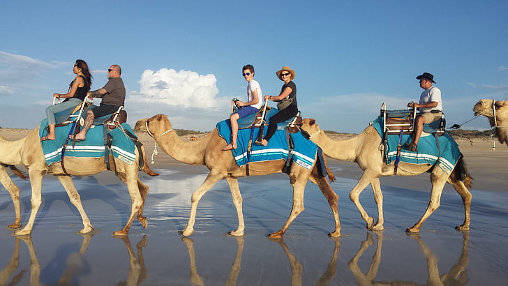 Camel, kameliratsastus, Ride, seikkailu, loma
