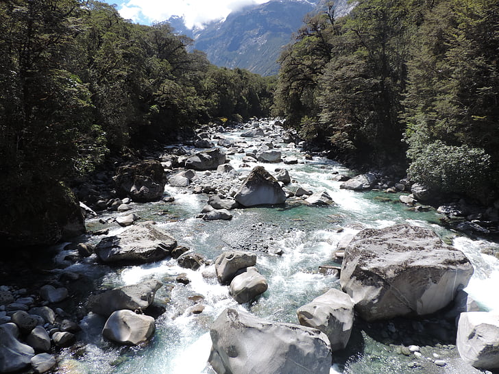 น้ำ, แม่น้ำ, ภูมิทัศน์, ได้อย่างคล่องแคล่ว, ธรรมชาติ, นิวซีแลนด์