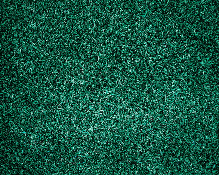 grass, abstract, backdrop, background, beautiful, clean, closeup