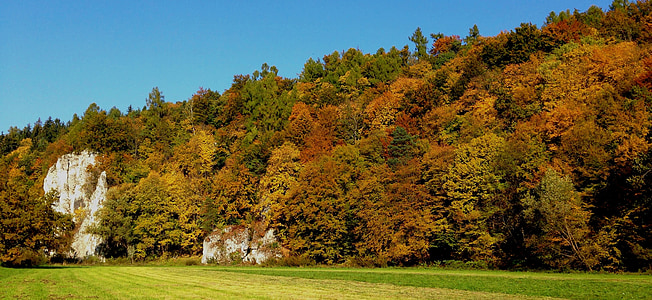 Outono, paisagem, árvore, natureza, floresta, Castelo de Pieskowa skała, o Parque Nacional