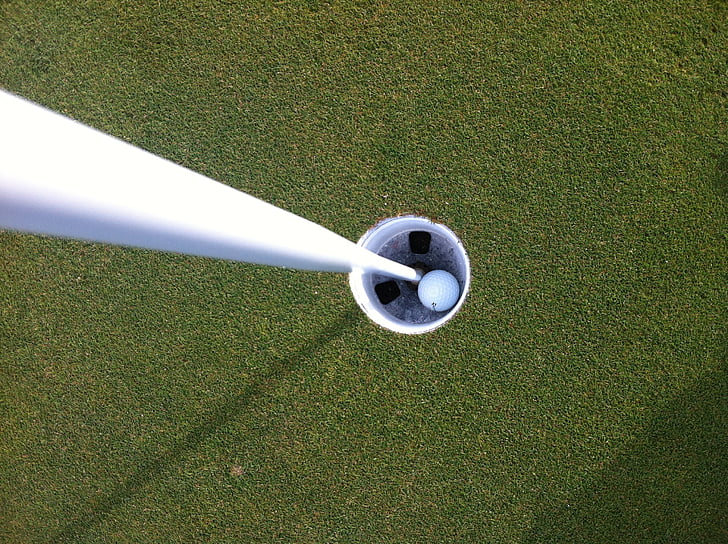golf, ball in hole, hole in one, ball, hole, green