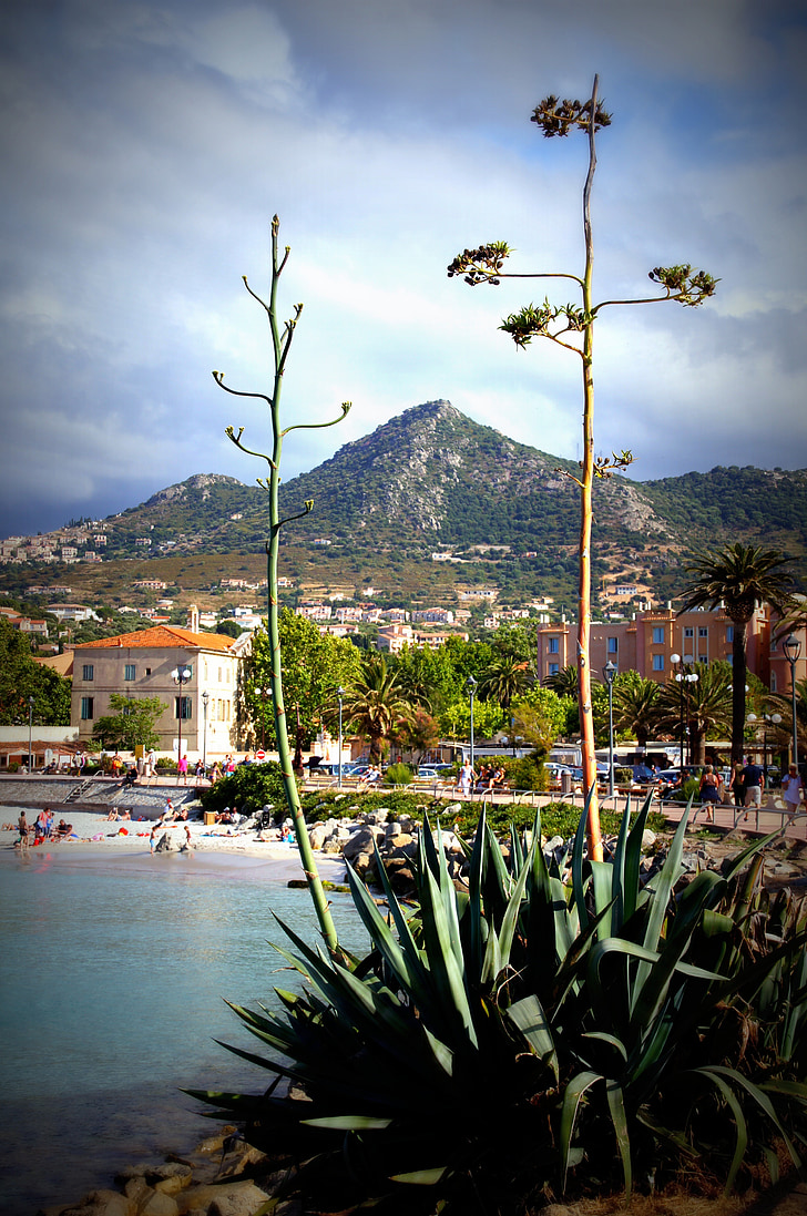 Korsika, Port, Prantsusmaa, rannikul, sadama linn, mägi