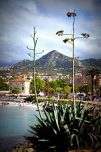 Corsica, bağlantı noktası, Fransa, Sahil, liman kenti, dağ