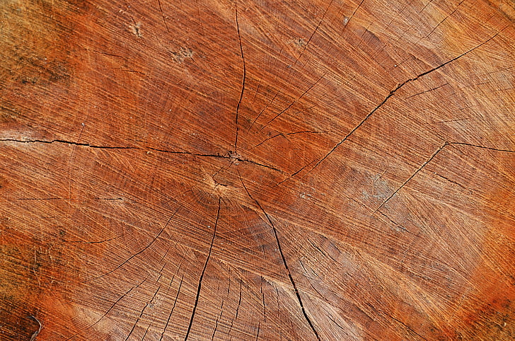 Baum, Holz, Textur, Hintergrund, Hintergrund, Board, Brennholz