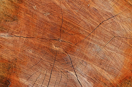 дърво, дървен материал, текстура, фон, фон, съвет, дърва за огрев