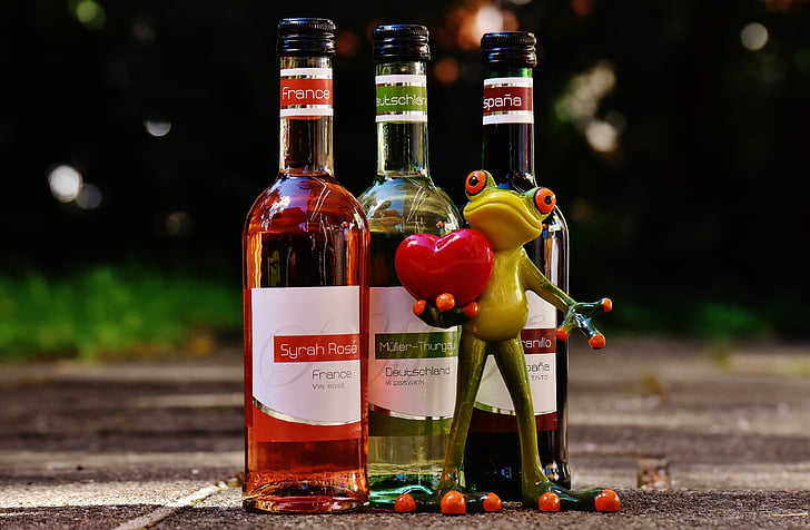 Frosch, Liebe, feiern, Wein, trinken, Restaurant, Weinstube