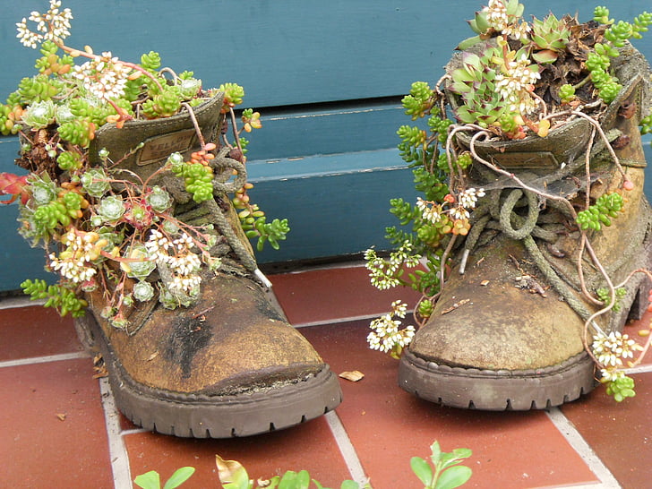 sko, natur, blomster, støvler, blomst, Flower pot, plante