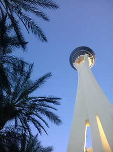 Las Vegasissa, iltapäivällä, Nevada, näkymä, Tower, palmuja, matkustaa