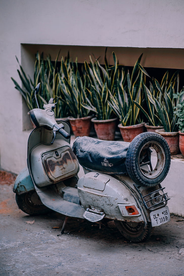Foto, sort, grå, motor, scooter, gamle, motorcykel