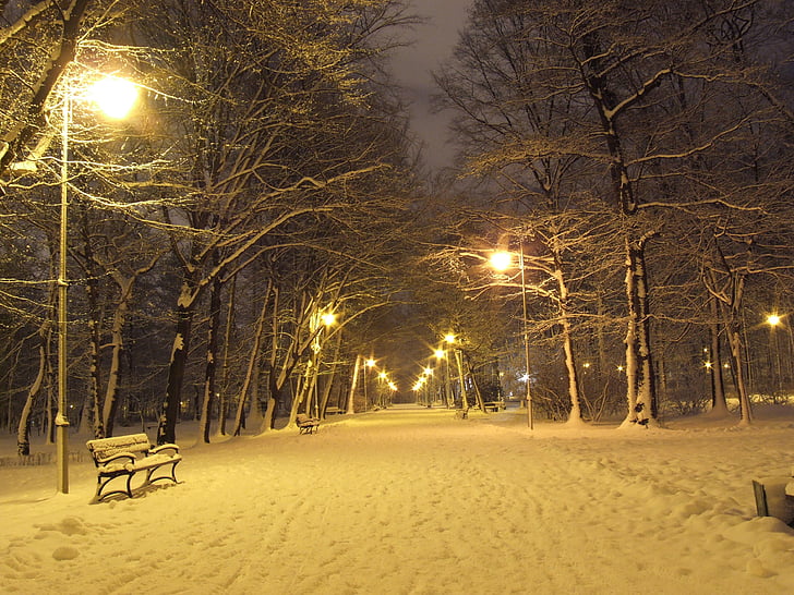 Park, zimné, noc, lucerny, sneh, svetlo, spacer
