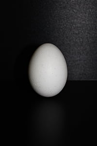 de kip-ei, ei, voedsel, ovaal, kip, wit, witte eieren
