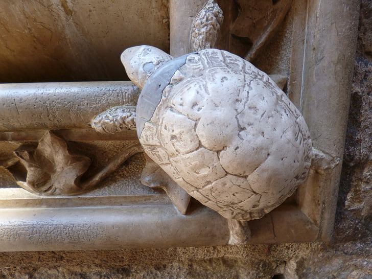 Kaplumbağa, taş, Süsleme, heykel, şekil, stonemasonry, Dekorasyon