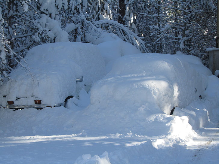 biler coverd med sne, vinter, sne fejltrin
