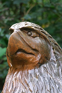 holzfigur, pasăre, cap, Adler, lemn, sculptura