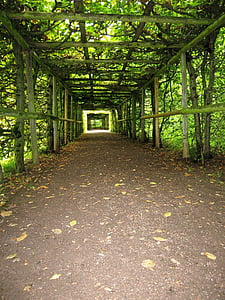 jardín, arcadas, túnel, naturaleza, árbol, bosque, sendero