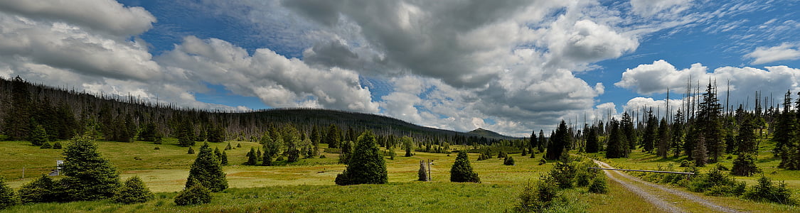 panoramy, Šumava, krajobraz, zielony, ścieżka