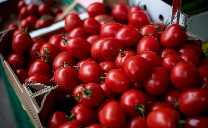 tomaatit, vihannekset, Kirsikkatomaatti, kirsikkatomaatteja, Solanum lycopersicum, punainen, Ruoka