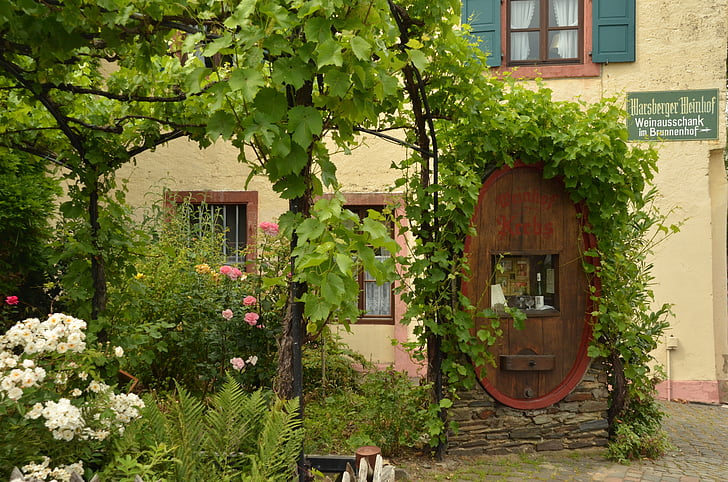 Градина, грозде, барел, вино, растителна, цвете, Ноймаген-dhron