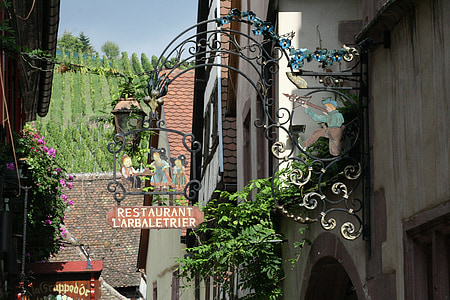 kebun anggur, Alsace, mengajarkan