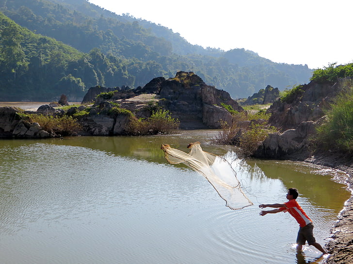 Laos, Mekong, pesca, pescador, net, Gavilán, naturaleza