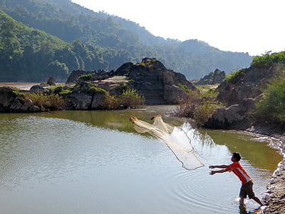 laos, mékong, fishing, fisherman, net, sparrowhawk, nature