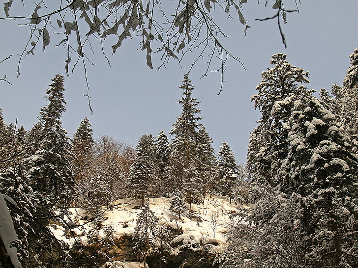 oberstdorf yakınındaki breitachklamm, Kış, Frost