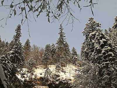 breitachklamm dekat oberstdorf, musim dingin, embun beku