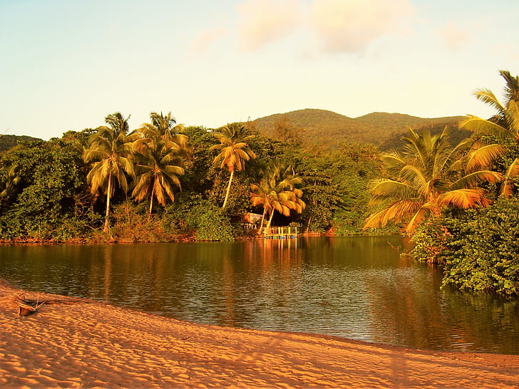 Guadeloupe, Palm, gece kumsalda, tatil, seyahat, plaj, Deniz