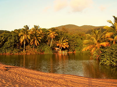 Guadeloupe, Palm, strand bij nacht, vakantie, reizen, strand, zee