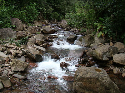 rapids, rio, nature, atlantic forest, stream, river, forest