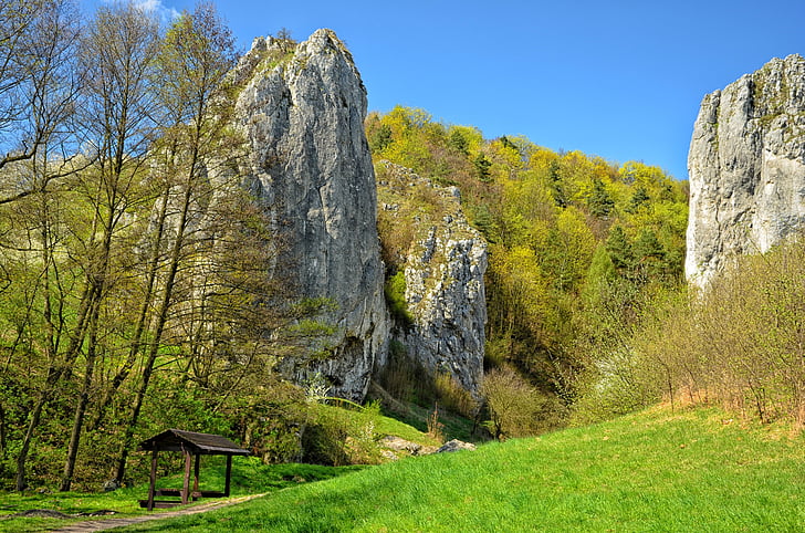 ポーランド, 谷 bolechowicka, 風景, 岩, 自然