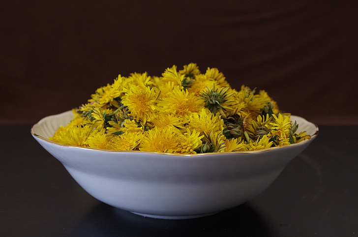 Dandelion, Kesehatan, salad, bunga, resep