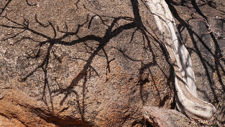 Botswana, árvore, rocha, sombra, natureza