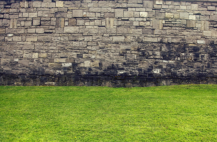 paret, antiga muralla, herba, verd, gespa, muralles històriques, muralla gòtica