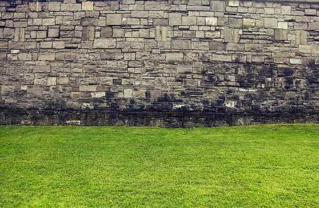 zeď, stará zeď, tráva, zelená, trávník, historické zdi, gotická zeď
