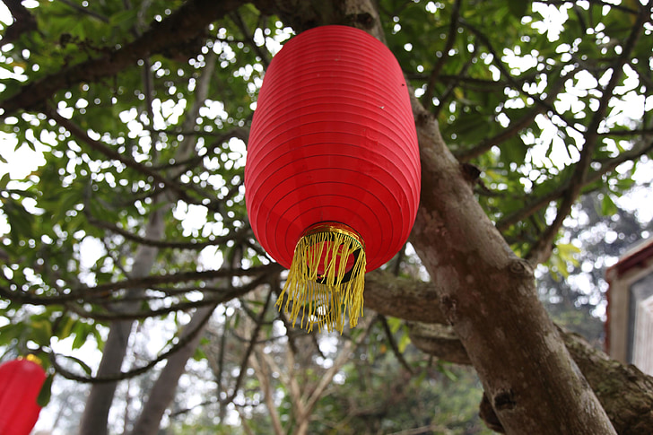 red lantern, hanging, tree, xinxing, tibetan buddhism pit, temple