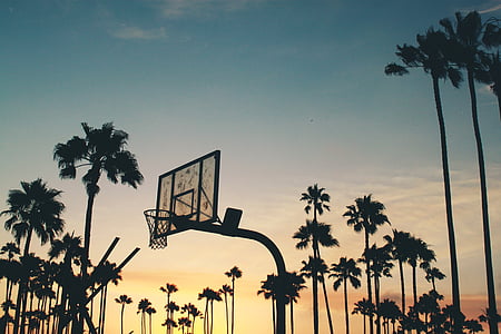 tablero, retroiluminado, tablero del baloncesto, aro de baloncesto, árboles de coco, amanecer, al atardecer