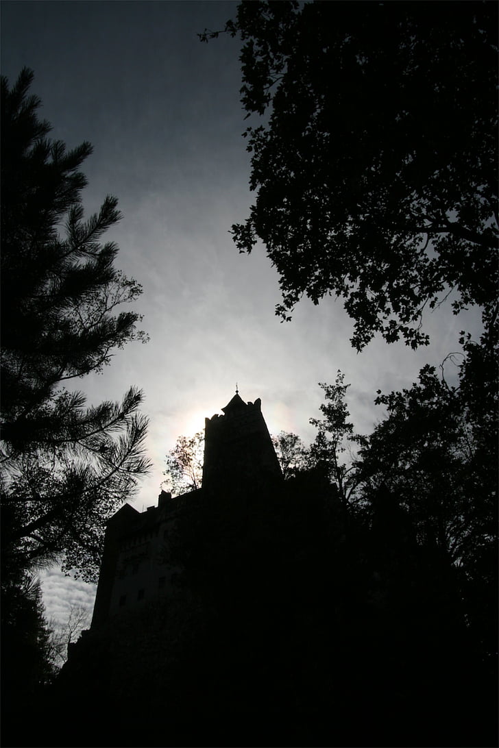 Castillo, arquitectura, antigua, Drácula, Vlad, silueta, oscuro