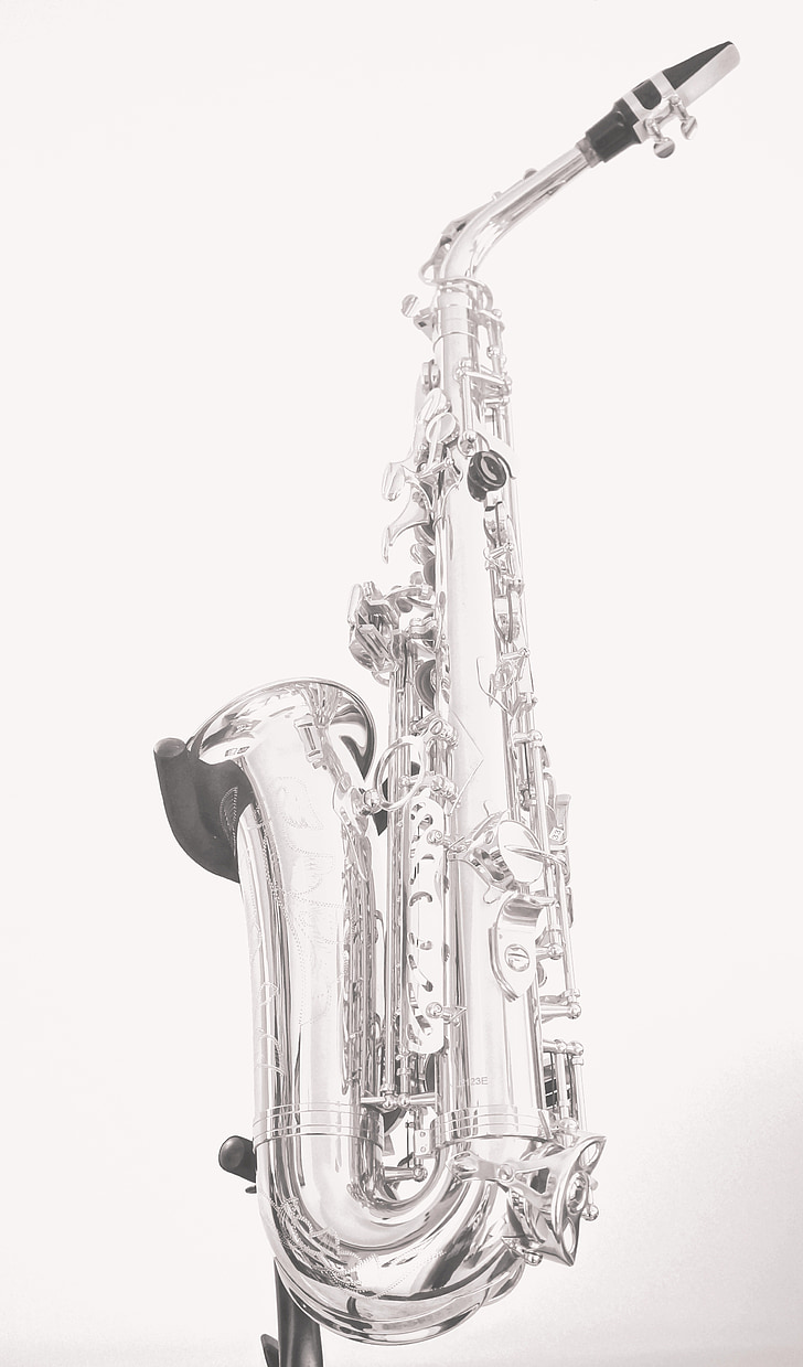 saxòfon, blanc i negre, música, músic, instrument, Jazz, saxofonista