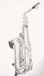 saxòfon, blanc i negre, música, músic, instrument, Jazz, saxofonista