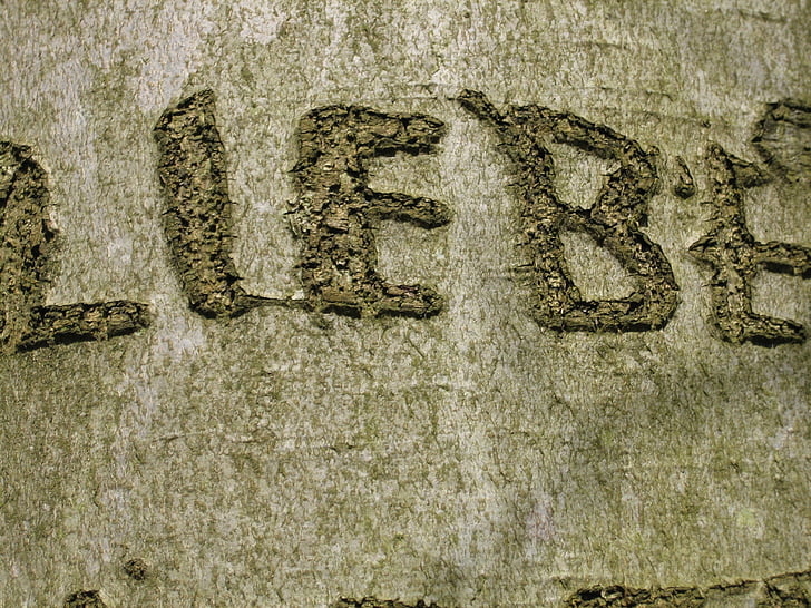 tree, by scripture, love, engraved