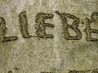 treet, av skriften, kjærlighet, gravert