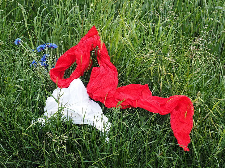 scarf, scarves, red, clothing, garments, colorful, meadow