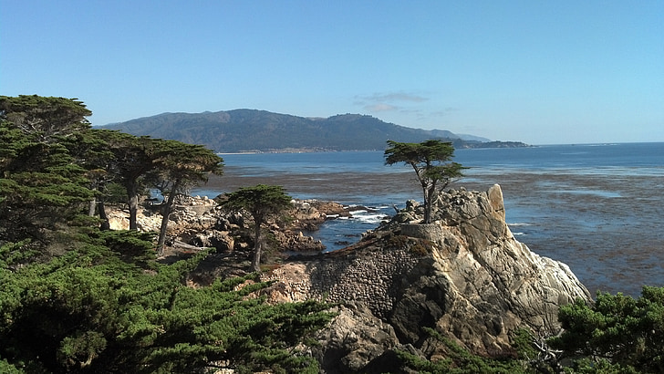 trees, california, park, coast, landscape, mountains, rocks