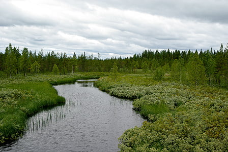 Finnország, erdő, Tundra, Lappföld