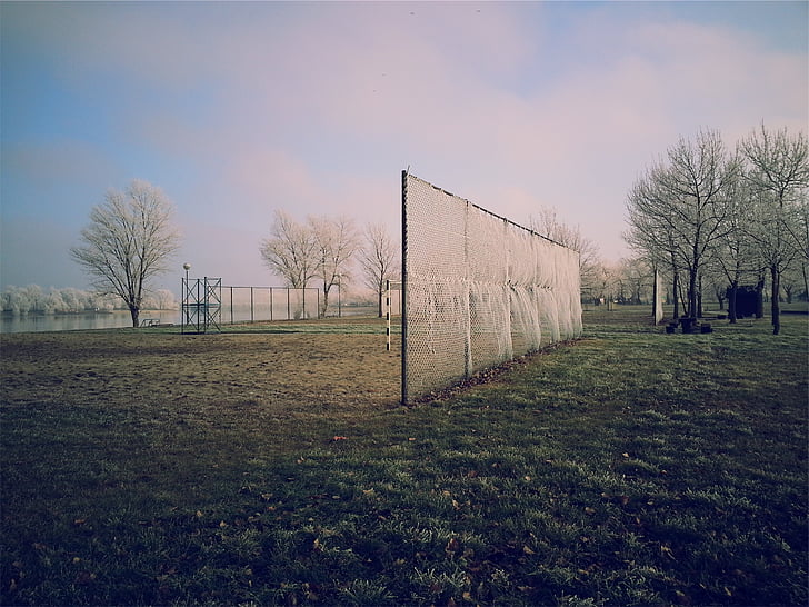 white, net, fence, park, grass, trees, field
