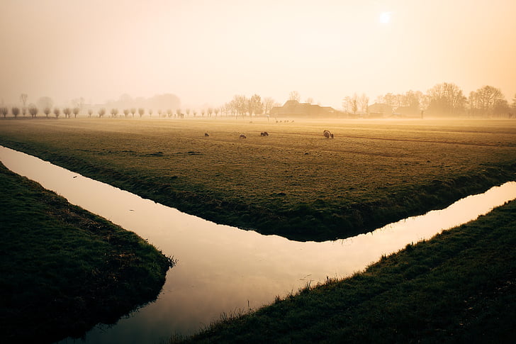 water, canal, river, irrigation, morning, steam, fog