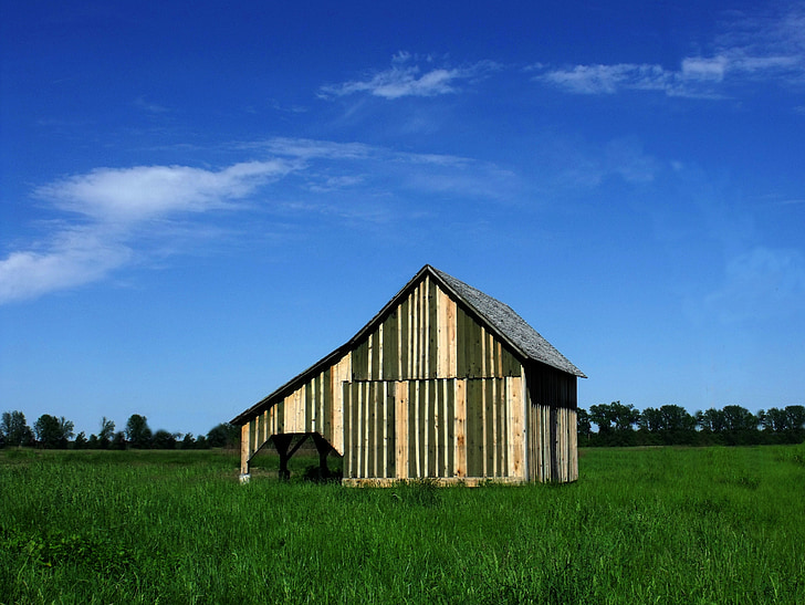 barn, old, farm, rural, landscape, blue, sky